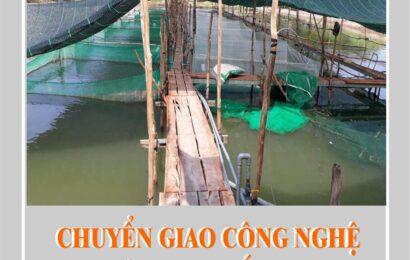 QUẢN LÝ NUÔI CÁ CHẠCH LẤU THƯƠNG PHẨM TRÊN AO ĐẤT